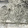 лучшие фото Анастасия Давыдова лучшие фото Анастасия Давыдова