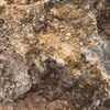 новое фото Алена Бардовская новое фото Алена Бардовская