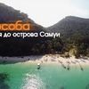 разместить рекламу в блоге svoimxodom разместить рекламу в блоге svoimxodom