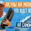 заказать рекламу у блогера svoimxodom заказать рекламу у блогера svoimxodom