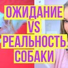 реклама на блоге yanakivel реклама на блоге yanakivel