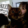 разместить рекламу в блоге dmitriev разместить рекламу в блоге dmitriev