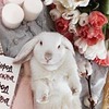 фотография Катюша Тян фотография Катюша Тян