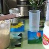 разместить рекламу в блоге family_brovchenko разместить рекламу в блоге family_brovchenko