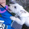 разместить рекламу в блоге camvsman разместить рекламу в блоге camvsman