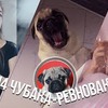 фото на странице gleb_kornilov фото на странице gleb_kornilov