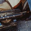 фото Княженика Волокитина фото Княженика Волокитина