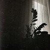 фотография Леня Иш фотография Леня Иш