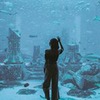 реклама в блоге Юлия Таскаева реклама в блоге Юлия Таскаева
