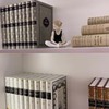 фотография Ксения Бородина фотография Ксения Бородина