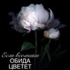 реклама у блоггера Светлана Гришакова реклама у блоггера Светлана Гришакова