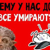 фото на странице nanshow_official фото на странице nanshow_official