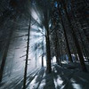 фотография Андрей Свистунов фотография Андрей Свистунов