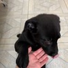 фото на странице Диана Медем фото на странице Диана Медем
