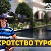 реклама у блоггера ssimonov100 реклама у блоггера ssimonov100