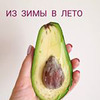 разместить рекламу в блоге Ольга Raw_vegfood разместить рекламу в блоге Ольга Raw_vegfood