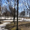 разместить рекламу в блоге Ольга Лазарева разместить рекламу в блоге Ольга Лазарева