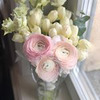 реклама в блоге Анна Белоцерковец реклама в блоге Анна Белоцерковец
