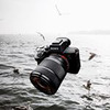 реклама на блоге Филипп Чевелев реклама на блоге Филипп Чевелев