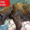 реклама на блоге Darvin Studio реклама на блоге Darvin Studio