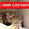 разместить рекламу в блоге Darvin Studio разместить рекламу в блоге Darvin Studio