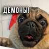 заказать рекламу у блоггера Глеб Корнилов заказать рекламу у блоггера Глеб Корнилов
