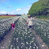 фото на странице Дана Виттенберг фото на странице Дана Виттенберг