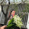 новое фото Милана Барекзай новое фото Милана Барекзай