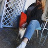 реклама в блоге vsbitye_sliwki реклама в блоге vsbitye_sliwki