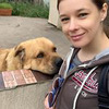 реклама у блоггера Катерина Шпица реклама у блоггера Катерина Шпица