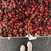 реклама у блоггера Ксения Молоткова реклама у блоггера Ксения Молоткова