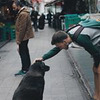 фотография CAMvsMAN фотография CAMvsMAN