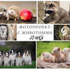 фото на странице Ольга Баранцева фото на странице Ольга Баранцева