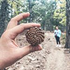 фото Алексей Якушечкин фото Алексей Якушечкин
