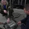 фотография Wylsacom фотография Wylsacom