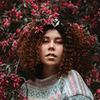 разместить рекламу в блоге Софи Sibirskaya_pelmeshka разместить рекламу в блоге Софи Sibirskaya_pelmeshka