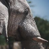 лучшие фото Иван Смелов лучшие фото Иван Смелов