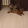 лучшие фото Андрей Щелковский лучшие фото Андрей Щелковский