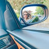 разместить рекламу в блоге Ира Kravchulia разместить рекламу в блоге Ира Kravchulia