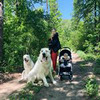 реклама на блоге Анна Акинина реклама на блоге Анна Акинина