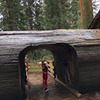 фотография Анна Бахирева фотография Анна Бахирева