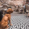 новое фото Марина Март новое фото Марина Март