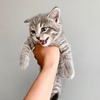 фото на странице Эмма Неклеенова фото на странице Эмма Неклеенова