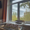 реклама на блоге Александра Поснова реклама на блоге Александра Поснова