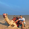 лучшие фото Михаил Eвстафьев лучшие фото Михаил Eвстафьев