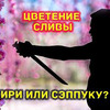 разместить рекламу в блоге sergeydolya разместить рекламу в блоге sergeydolya