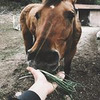 новое фото Ирина Грот новое фото Ирина Грот