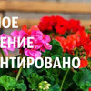 фотография elenamatveevabloger фотография elenamatveevabloger