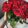 разместить рекламу в блоге Юлия Миллкисс разместить рекламу в блоге Юлия Миллкисс