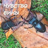 реклама на блоге Римма Карамова реклама на блоге Римма Карамова